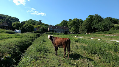 Ferme du Château à Villerville à Villerville