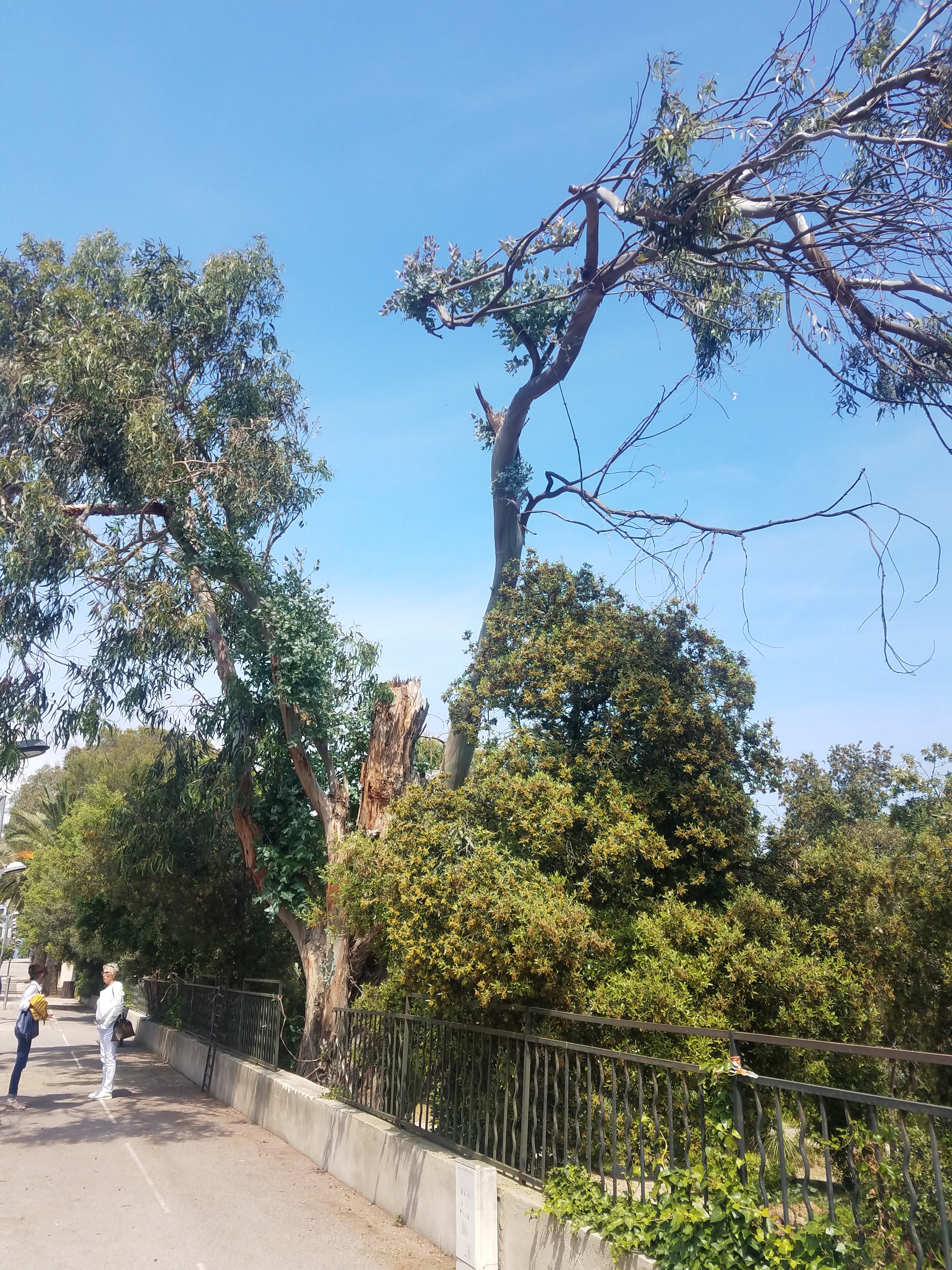 Photo n° 2 de l'avis de Pierre. fait le 24/05/2019 à 15:30