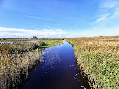 Marais du Bessin à Ver-sur-Mer