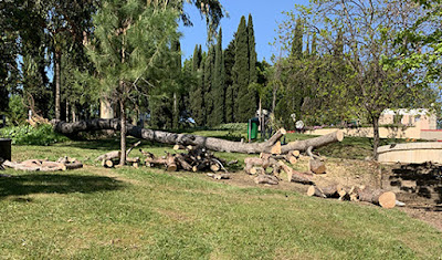 Prim Vert Paysage à Antibes