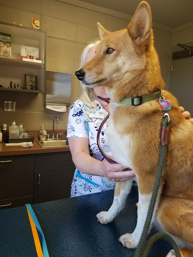 Chappelle Small Animal Hospital PC image