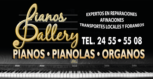 Pianos Gallery (Taller)