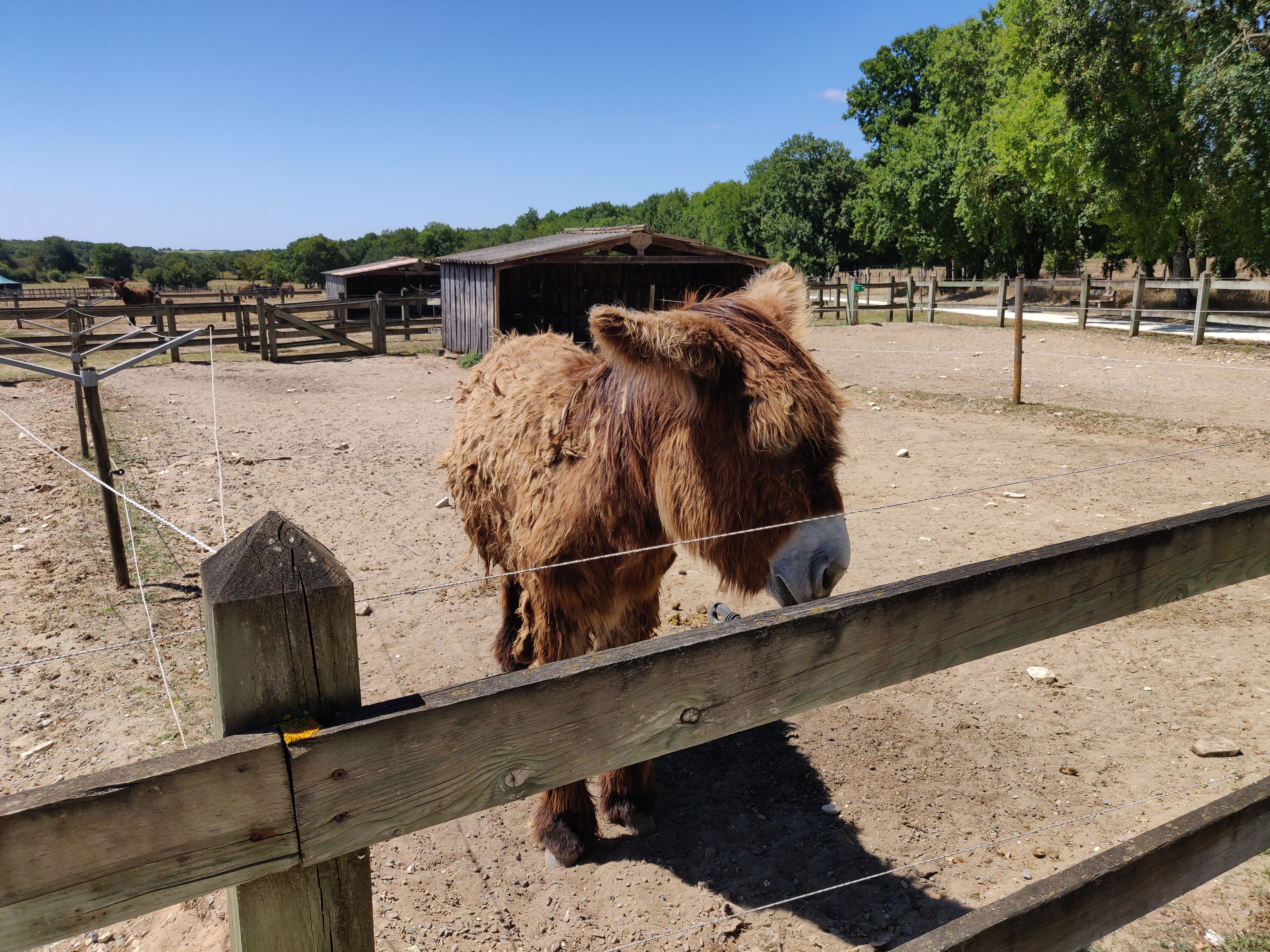 Photo n° 1 de l'avis de Gaëtan.o fait le 04/08/2020 à 12:02