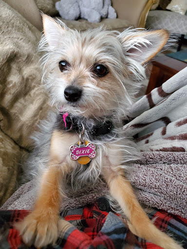 Pet Supply Store «PetSmart», reviews and photos, 5748 S Redwood Rd, Taylorsville, UT 84123, USA