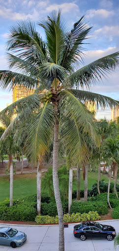 Performing Arts Theater «Broward Center for the Performing Arts», reviews and photos, 201 SW 5th Ave, Fort Lauderdale, FL 33312, USA