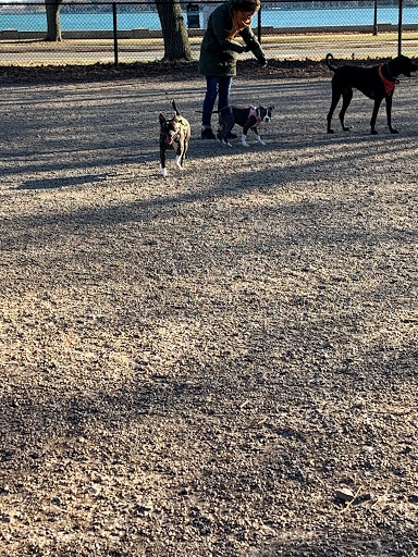 Dog Park «South Boston Bark Park», reviews and photos, 1280 Columbia Rd, Boston, MA 02127, USA