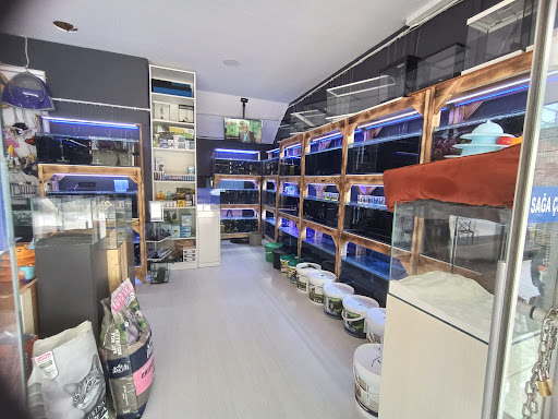 Maltepe Stad Akvaryum / Petshop | Maltepe İstanbul - Akvaryum Mağazası