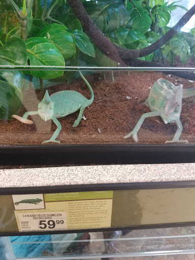 Pet Supply Store «Petco Animal Supplies», reviews and photos, 8644 E 96th St, Fishers, IN 46038, USA