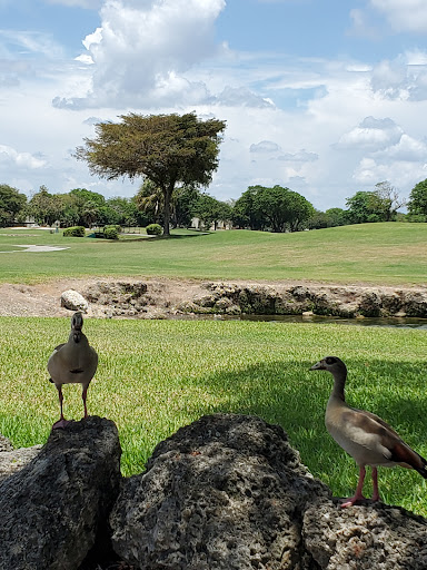 Country Club «Miccosukee Golf & Country Club», reviews and photos, 6401 Kendale Lakes Dr, Miami, FL 33183, USA