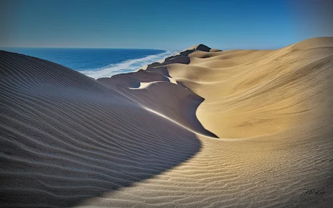 Red Dune Safaris Namibia image