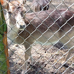 Photo n°3 de l'avis de Mario.r fait le 23/04/2022 à 11:55 sur le  Ristorante Ca' del Pino à Ravenna