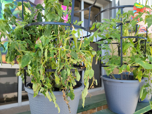 Department Store «Walmart Supercenter», reviews and photos, 2525 W Anderson Ln, Austin, TX 78757, USA