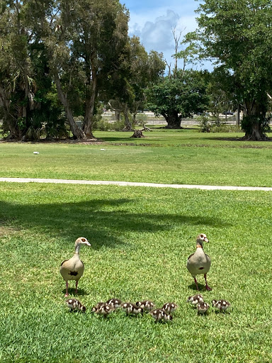 Country Club «Orangebrook Golf & Country Club», reviews and photos, 400 Entrada Dr, Hollywood, FL 33021, USA