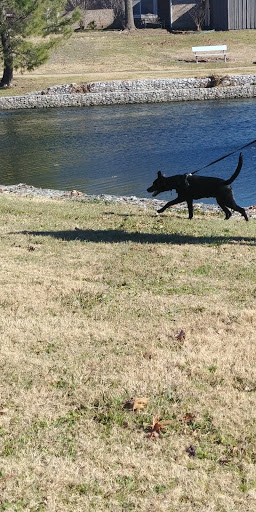 Park «Katherine B. Winniford Park», reviews and photos, 4900 Highlands Dr, McKinney, TX 75070, USA