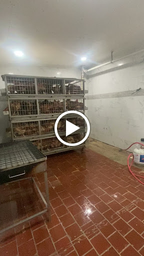 Grocery Store «Sandys Poultry Market», reviews and photos, 305 Madison Ave, Plainfield, NJ 07060, USA