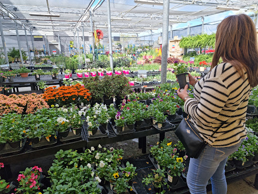 Department Store «Walmart Supercenter», reviews and photos, 5100 Okeechobee Rd, Fort Pierce, FL 34947, USA