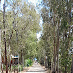 Photo n°8 de l'avis de Anita.o fait le 24/08/2023 à 15:31 sur le  Club Lookéa Sporting Sardinia à Porto Ottiolu