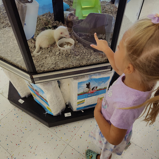 Pet Supply Store «Petco Animal Supplies», reviews and photos, 25 Hazard Ave, Enfield, CT 06082, USA