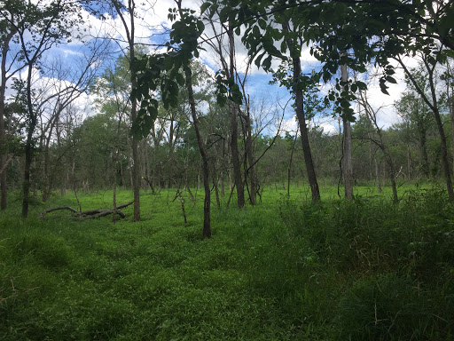 Nature Preserve «Messenger Woods Nature Preserve», reviews and photos, 13800 W Bruce Rd, Homer Glen, IL 60491, USA