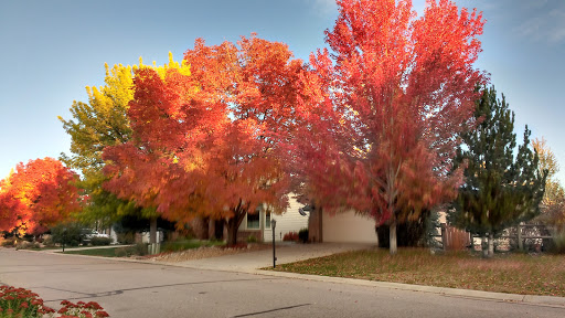 Grocery Store «Niwot Market», reviews and photos, 7980 Niwot Rd, Longmont, CO 80503, USA