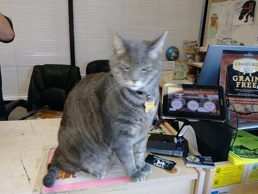 Pet Store «Healthy Pet», reviews and photos, 5881 Kanan Rd, Agoura Hills, CA 91301, USA