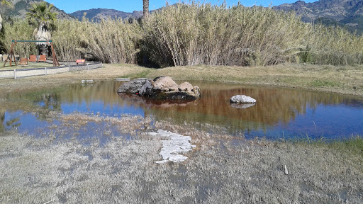 Tourist Attraction «Old Faithful Geyser of California», reviews and photos, 1299 Tubbs Ln, Calistoga, CA 94515, USA