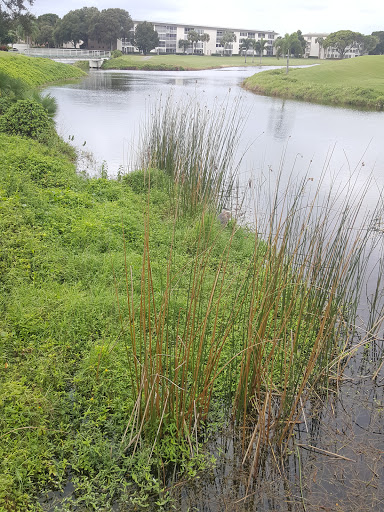 Golf Course «Wynmoor Golf Course», reviews and photos, 1310 Avenue of the Stars, Coconut Creek, FL 33066, USA