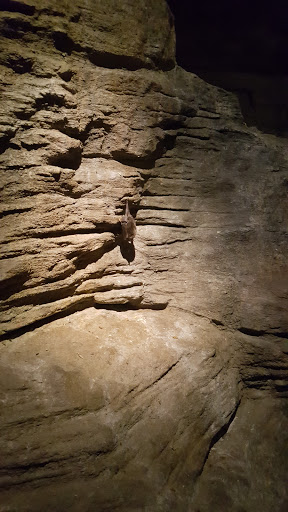 Aquarium «Wonders Of Wildlife National Museum & Aquarium», reviews and photos, 500 W Sunshine St, Springfield, MO 65807, USA