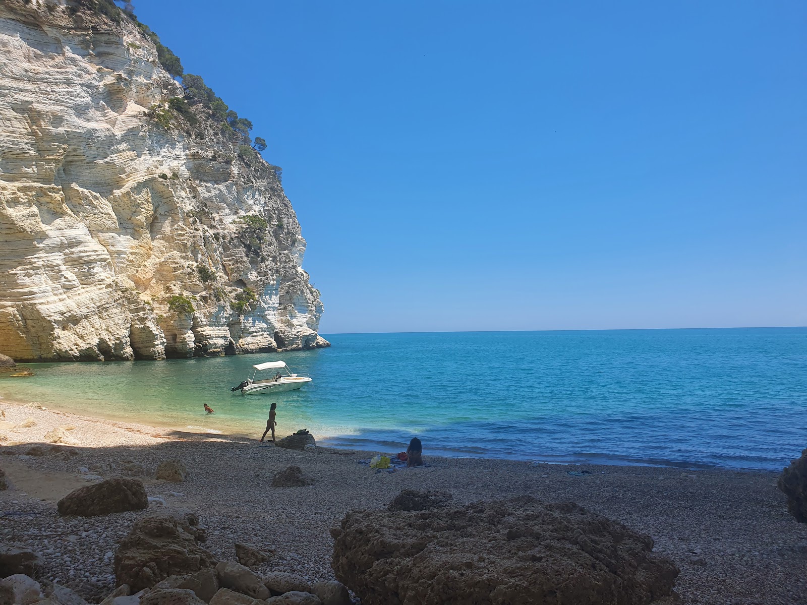 Cala dell'Aquila'in fotoğrafı vahşi alan