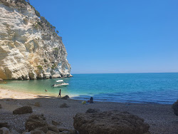 Cala dell'Aquila'in fotoğrafı vahşi alan