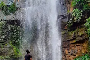 Nalichuan Waterfalls, Bhatli Bargarh image