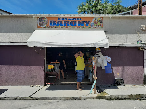 Barony Ltda