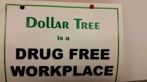 Dollar Store «Dollar Tree», reviews and photos, 1700 Sullivan Trail #1a, Easton, PA 18040, USA