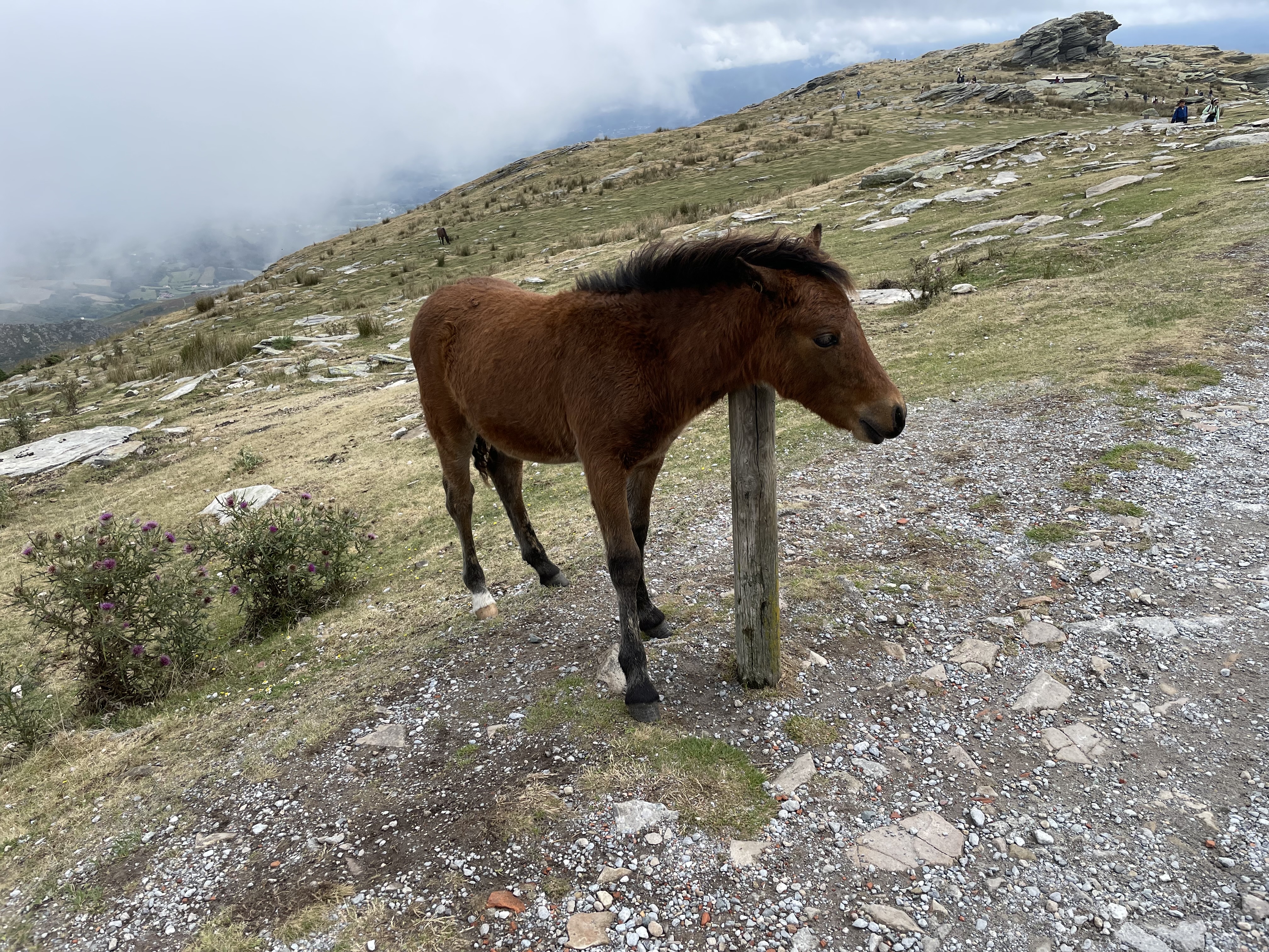 Photo n° 4 de l'avis de Eric.a fait le 21/08/2022 à 18:41