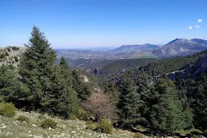 Parque Nacional Sierra de las Nieves image