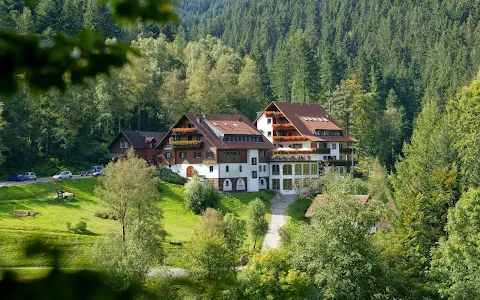Hotel Forsthaus Auerhahn image