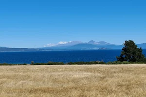 Lake Taupo Scenic Lookout image