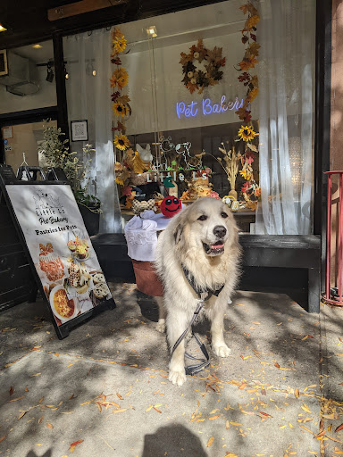 Little L's Pet Bakery & Boutique