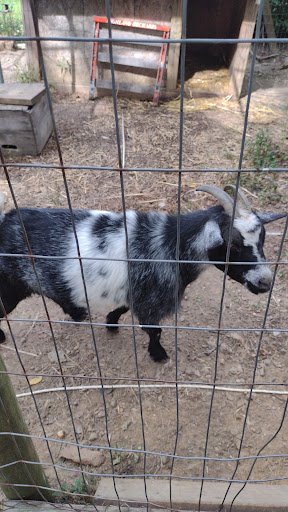 Produce Market «Highland Orchards Farm Market», reviews and photos, 1431 Foulk Rd, Wilmington, DE 19803, USA
