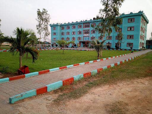 Nigeria Tulip International College (NTIC) OGUN, Nigeria, College, state Lagos