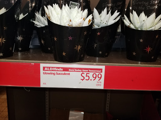 Supermarket «ALDI», reviews and photos, 799 Summit St, Elgin, IL 60120, USA