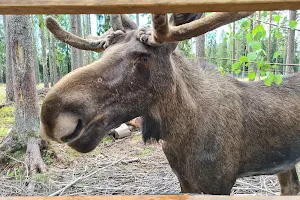 Värmlands Moose Park image