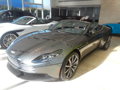 Car Dealer «Long Island Sports Cars», reviews and photos, 1047 Northern Blvd, Roslyn, NY 11576, USA