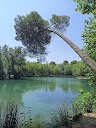 Albufera de Anna - Lago en e