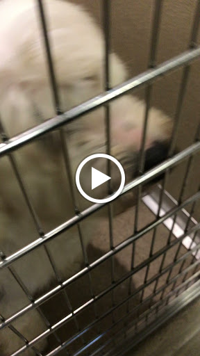 Grocery Store «North Shore Farms», reviews and photos, 770 Port Washington Blvd, Port Washington, NY 11050, USA