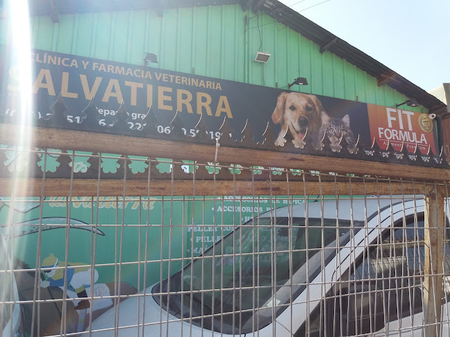 Opiniones de Veterinaria Salvatierra en La Serena - Veterinario
