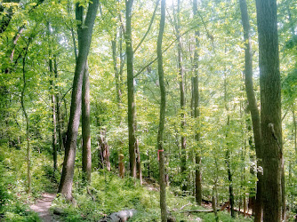 Green Tree Nature Center