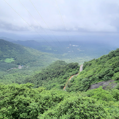 Lakkidi View Point