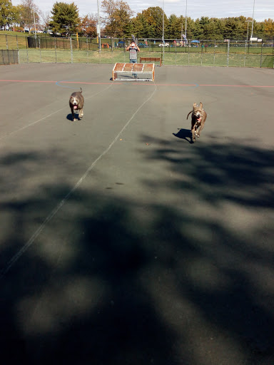 Park «Delcastle Recreational Park», reviews and photos, 2920 Duncan Rd, Wilmington, DE 19808, USA