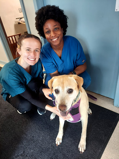 East Tosa Veterinary Clinic image